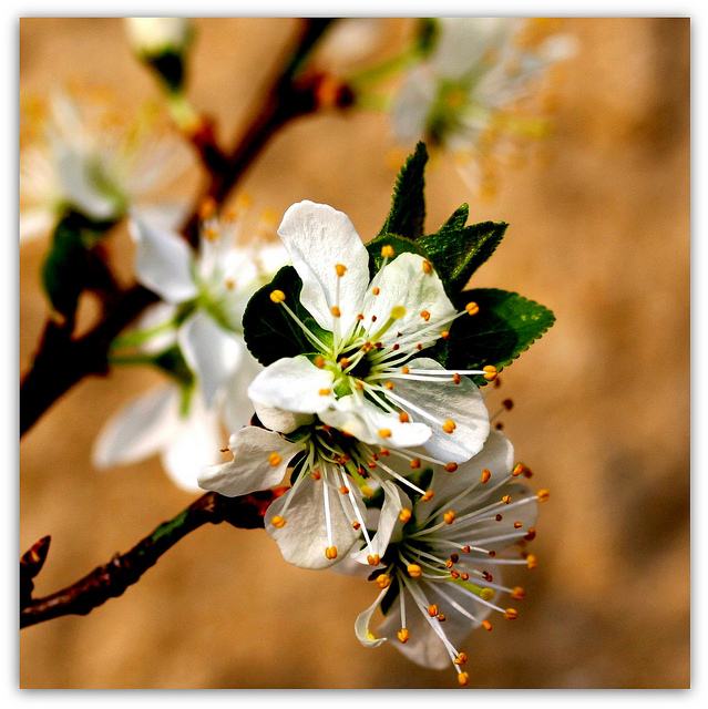 สีสันบนโลก 2