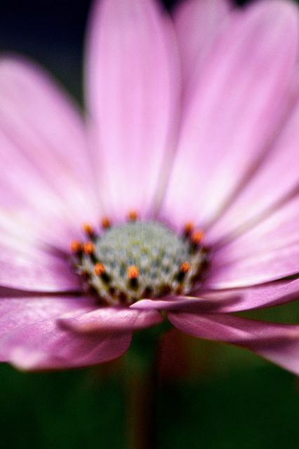 สีสันบนโลก 2