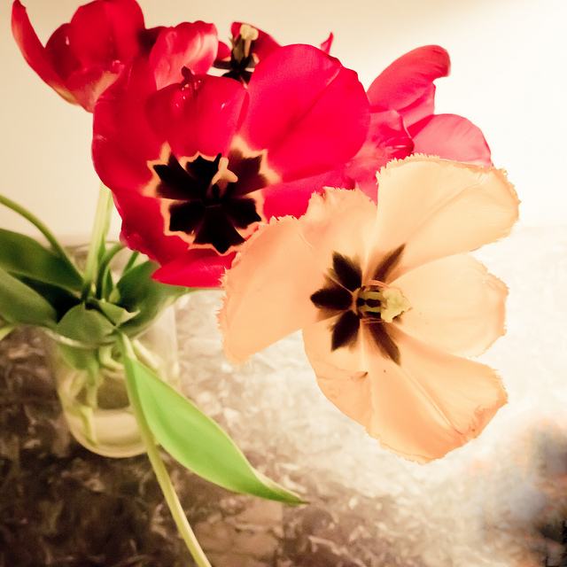 สีสันบนโลก 2