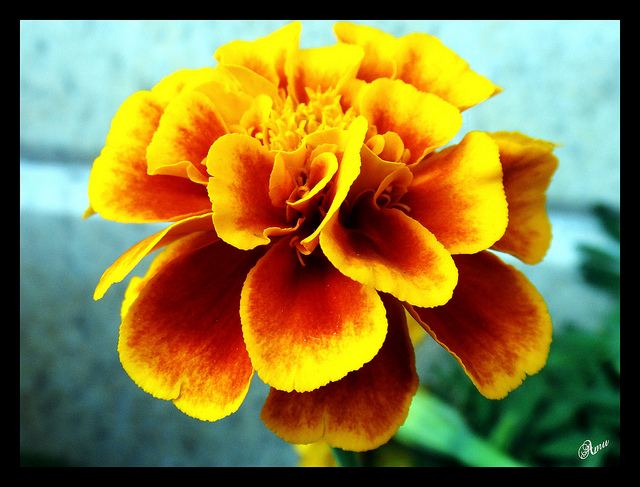 สีสันบนโลก 2