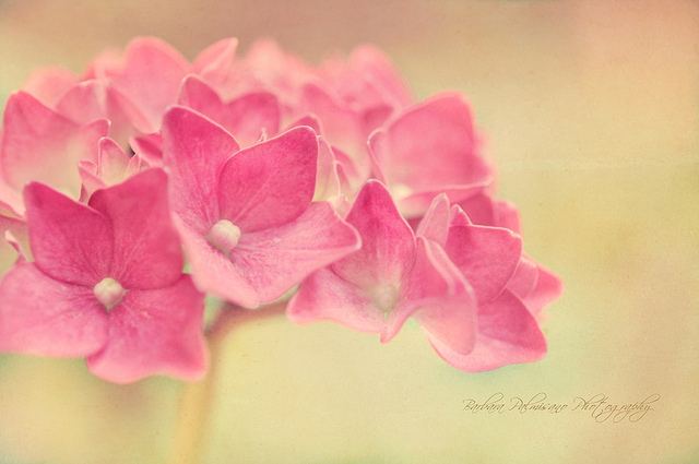 สีสันบนโลก 2