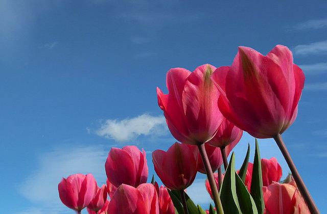 สีสันบนโลก 2