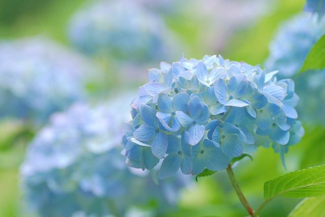 สีสันบนโลก 2