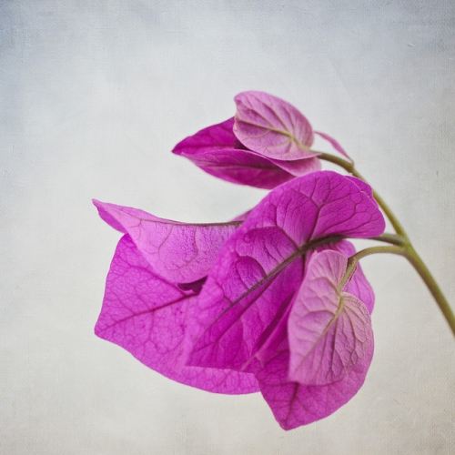 สีสันบนโลก 2