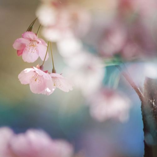 สีสันบนโลก 2