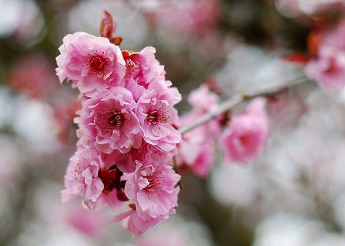 สีสันบนโลก 2