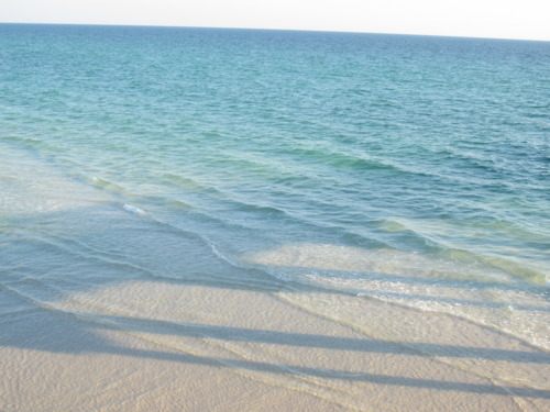 from ญี่ปุ่น