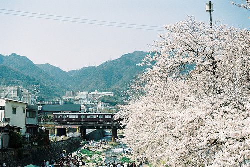 from ญี่ปุ่น