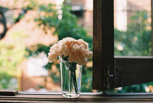 from ญี่ปุ่น