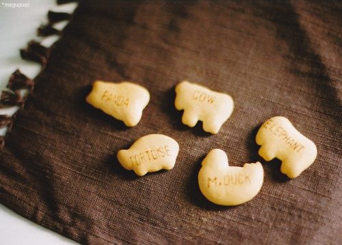 from ญี่ปุ่น