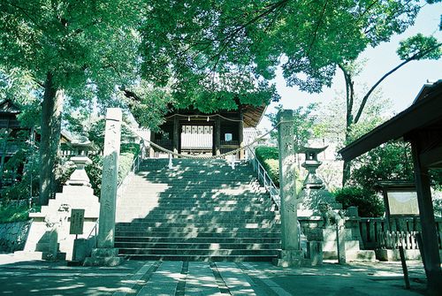 from ญี่ปุ่น