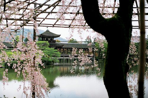 from ญี่ปุ่น