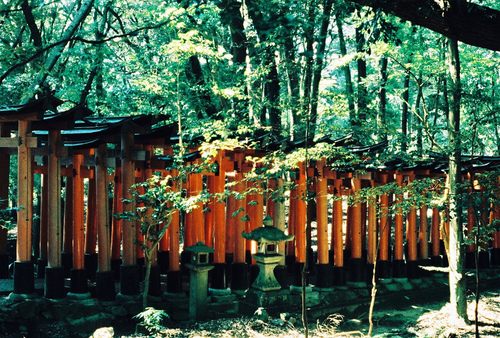 from ญี่ปุ่น