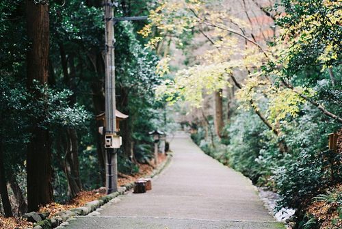 from ญี่ปุ่น