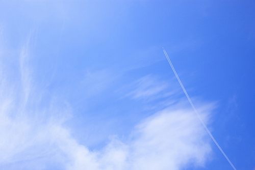 from ญี่ปุ่น