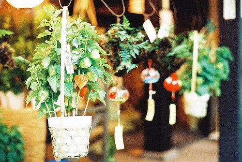 from ญี่ปุ่น