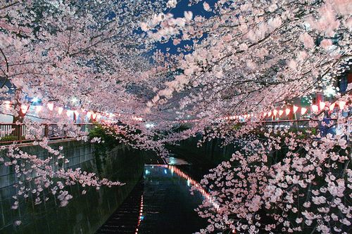 from ญี่ปุ่น