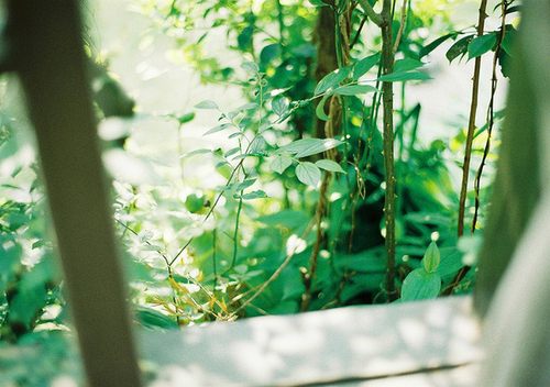 from ญี่ปุ่น