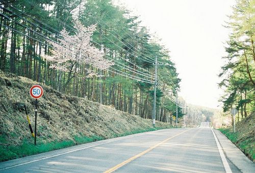 from ญี่ปุ่น 1