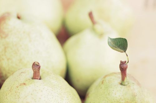 from ญี่ปุ่น 1