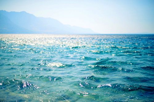 from ญี่ปุ่น 1