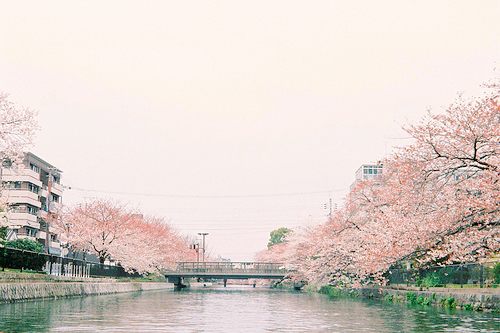 from ญี่ปุ่น 1