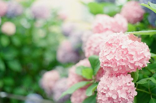 from ญี่ปุ่น 1