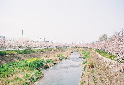 from ญี่ปุ่น 1