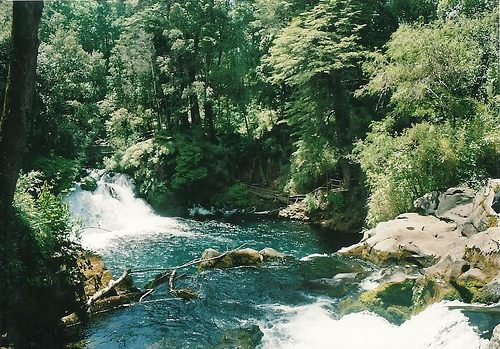 from ญี่ปุ่น 1