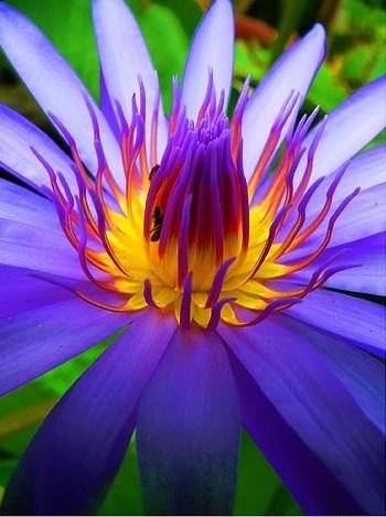 สีสันบนโลก 5