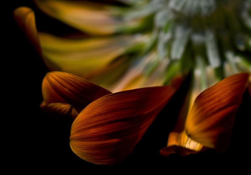 สีสันบนโลก 5