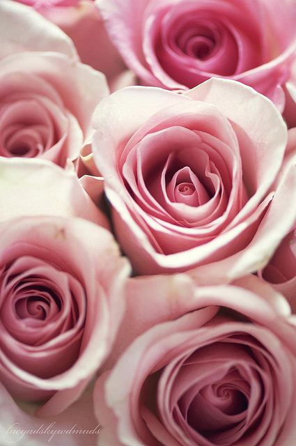 สีสันบนโลก 5