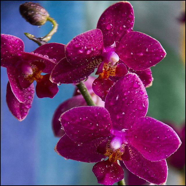 สีสันบนโลก 5