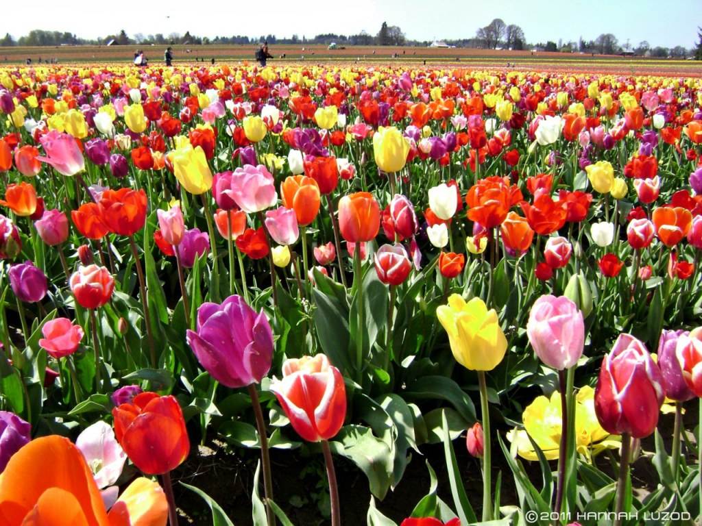 สีสันบนโลก 5