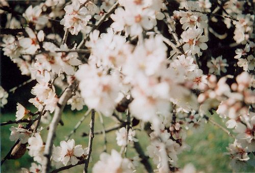 สีสันบนโลก 5