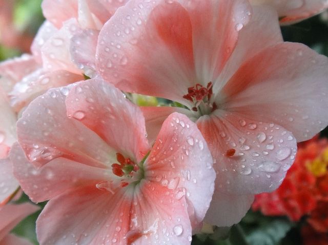 สีสันบนโลก 5