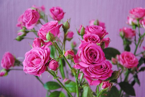 สีสันบนโลก 5