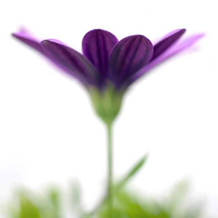 สีสันบนโลก 5