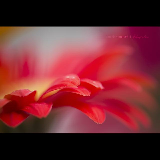 สีสันบนโลก 5