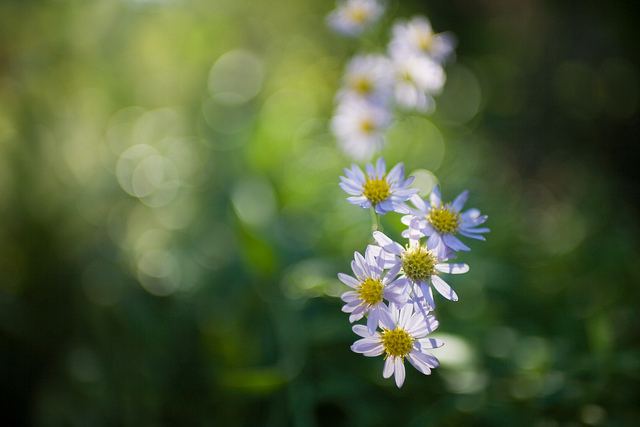 สีสันบนโลก 5