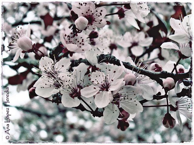 สีสันบนโลก 5