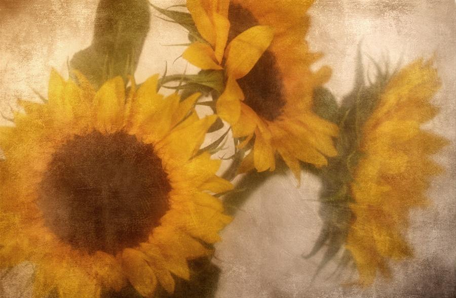 สีสันบนโลก 5