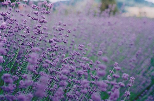 สีสันบนโลก 5