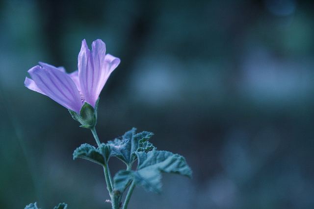 สีสันบนโลก 5