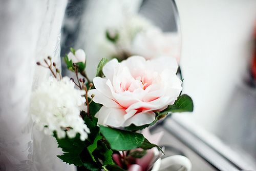 สีสันบนโลก 5