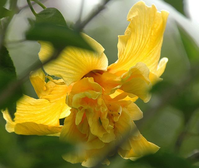 สีสันบนโลก 5