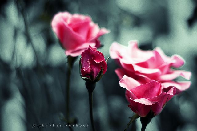 สีสันบนโลก 5