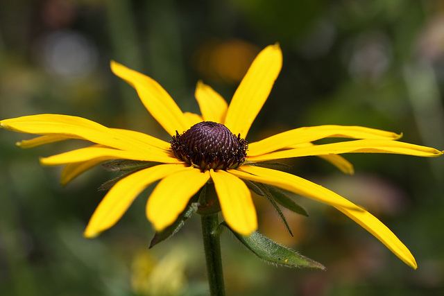 สีสันบนโลก 5