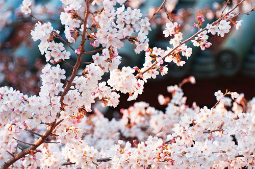 สีสันบนโลก 5