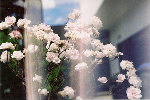 สีสันบนโลก 5